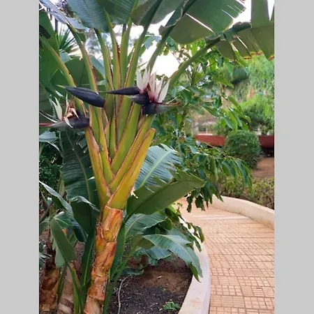 Jardines Del Sur, Ocean View Lägenhet