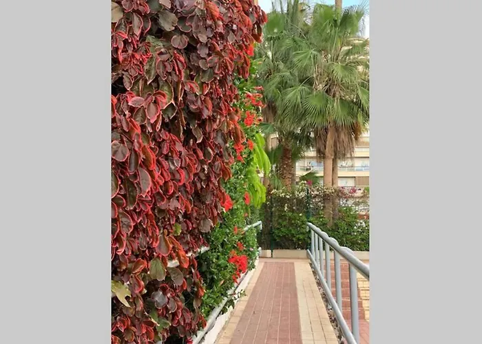 Jardines Del Sur, Ocean View