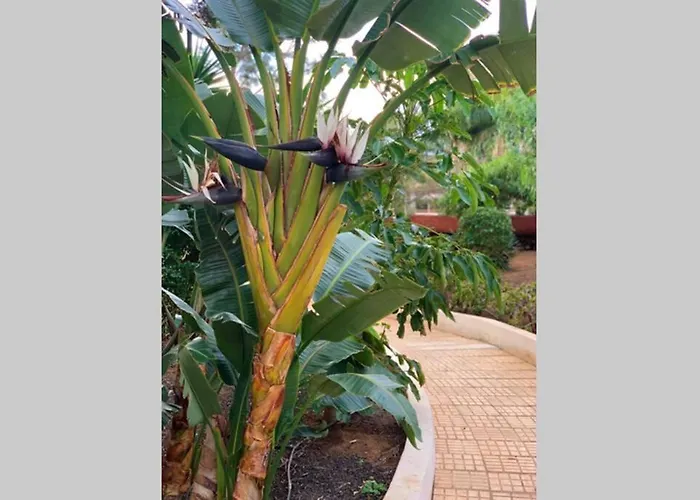 Jardines Del Sur, Ocean View Apartmán